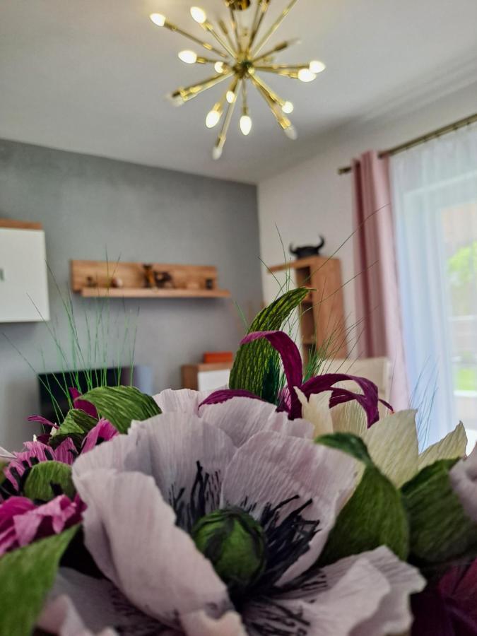 Green View Bella Vista Brasov Ngoại thất bức ảnh